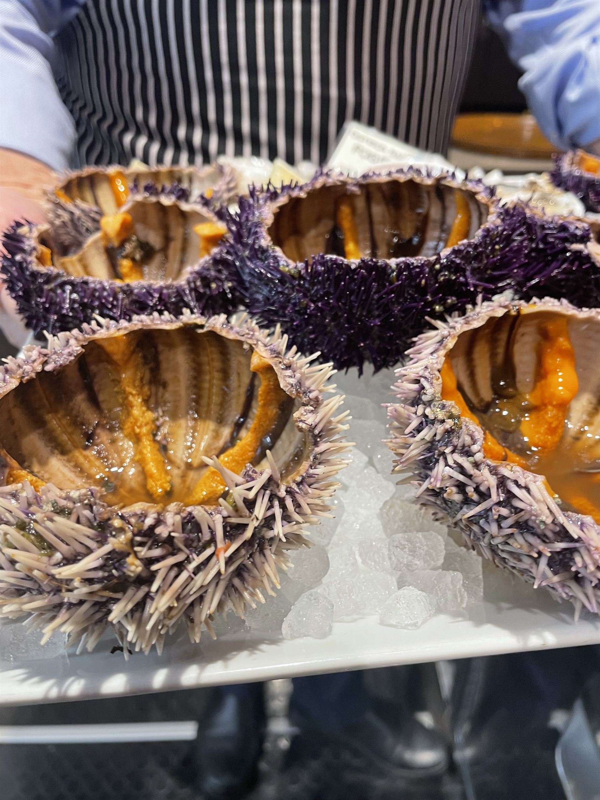 Mass Image Compressor Compressed this image. https://sourceforge.net/projects/icompress/ with Quality:80